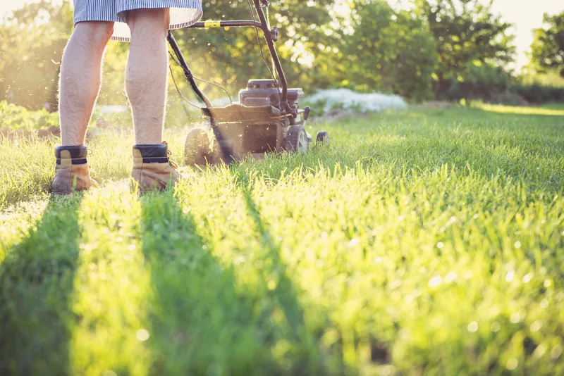 Landscaper pushing a mower across a sunny lawn