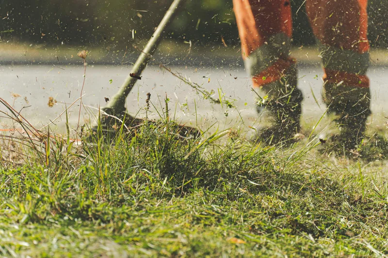 Worker cutting tall grass with a string trimmer
